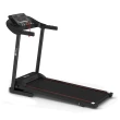 Esteira Ergométrica Elétrica Gallant Trainer 2.0hp 12.8 Km/H 110kg 127V (GEE11M20A-127PT)