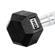 Halter Dumbbell Gallant Sextavado Emborrachado Pegada Cromada 1kg - (GDB01F3A-PT)