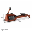 Simulador de Remo à Base de Água Gallant (GWR20HU29A-MD)