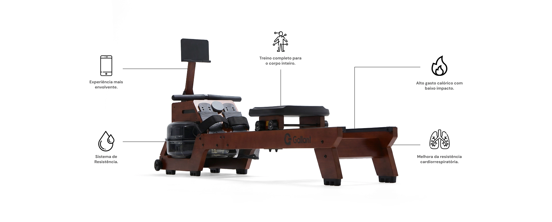 Imagem do Aparelho Simulador de Remo a base de água Gallant